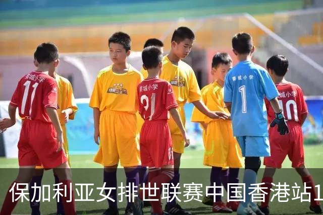 保加利亚女排世联赛中国香港站14人 两位置有调整