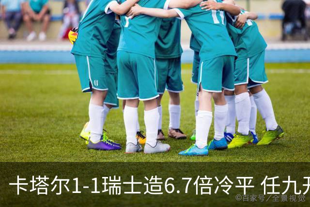 卡塔尔1-1瑞士造6.7倍冷平 任九开53注25.3万元