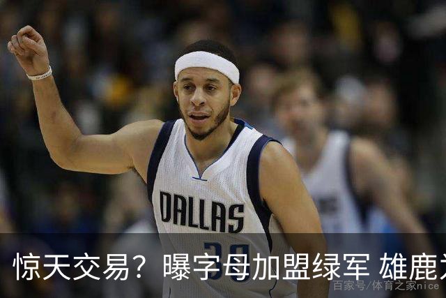 惊天交易？曝字母加盟绿军 雄鹿为布朗寻找第三方