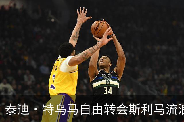泰迪·特乌马自由转会斯利马流浪者，签约两年