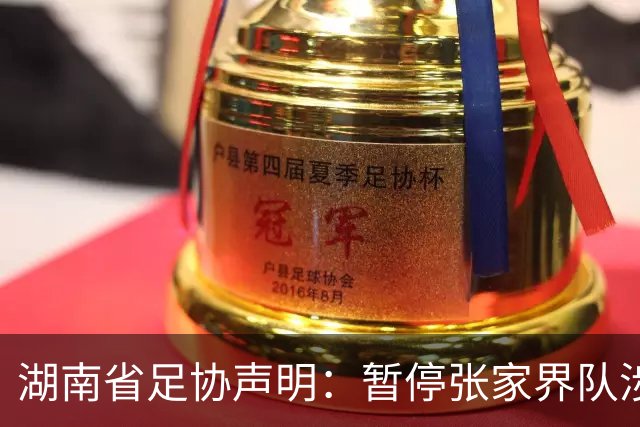 湖南省足协声明：暂停张家界队涉事人员参加省内一切足球活动