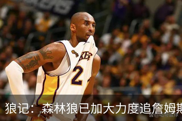 狼记：森林狼已加大力度追詹姆斯 完全相信自己很有希望引进老詹