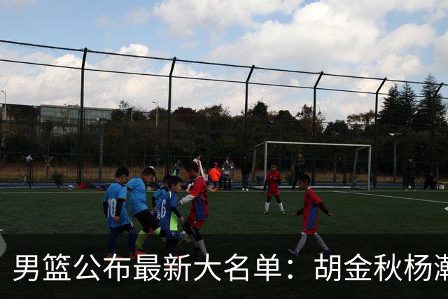 男篮公布最新大名单：胡金秋杨瀚森领衔，周琦、张镇麟落选