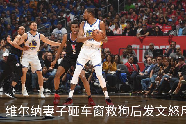 维尔纳妻子砸车窗救狗后发文怒斥主人：30度的天怎能把狗关车上？