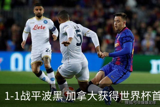 1-1战平波黑 加拿大获得世界杯首个积分
