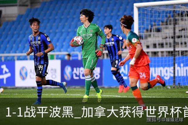 1-1战平波黑 加拿大获得世界杯首个积分