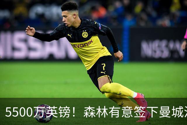 5500万英镑！森林有意签下曼城混子中场 马竞也曾有意但嫌贵放弃